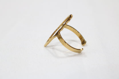 Golden & Silver Elegance: Palestine Map Rings – Symbols of Heritage