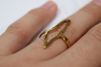 Golden & Silver Elegance: Palestine Map Rings – Symbols of Heritage