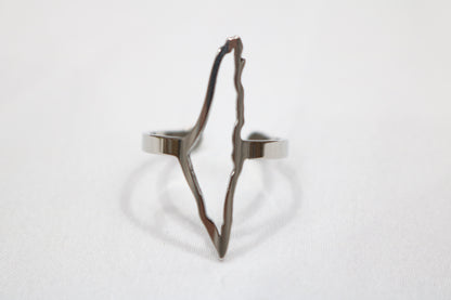 Golden & Silver Elegance: Palestine Map Rings – Symbols of Heritage