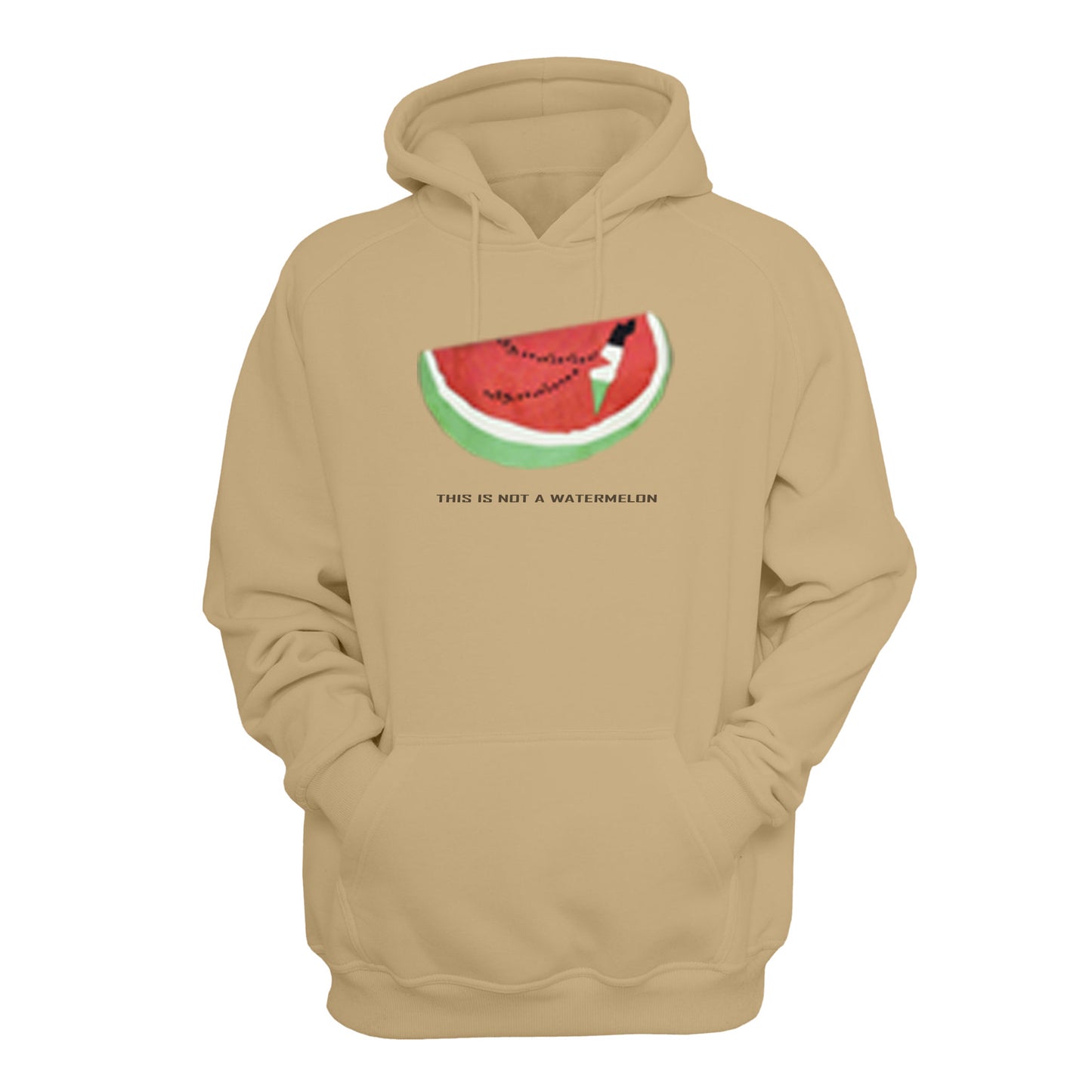 “THIS IS NOT A WATERMELON PALESTINE COLLECTION PULLOVER HOODIE”